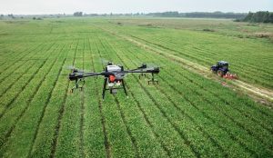 L’IA souterraine : la croissance des plantes prédite par l’imagerie des drones